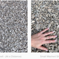 Davis Project - White River Rock + Seashells